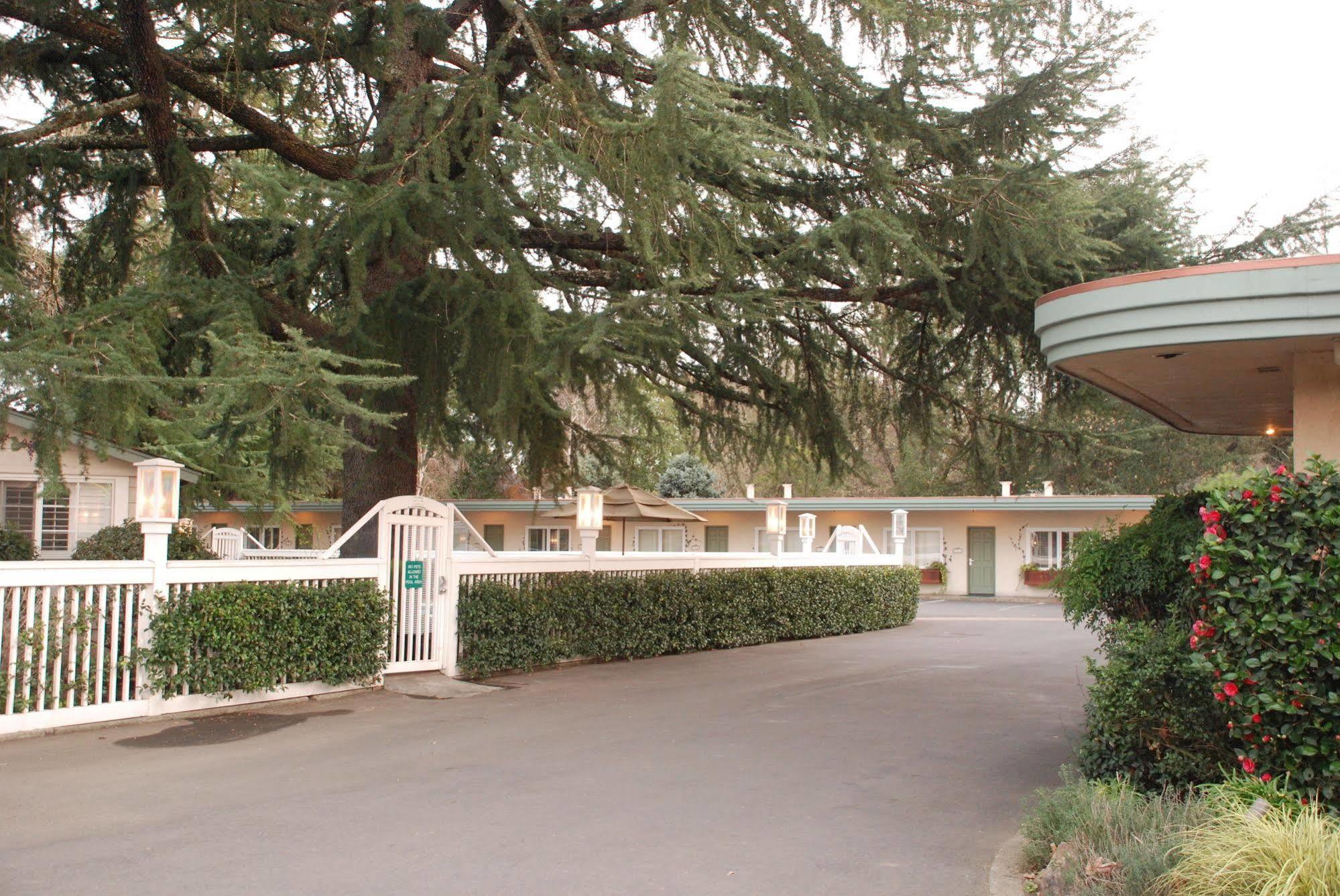 El Bonita Motel St. Helena Eksteriør billede